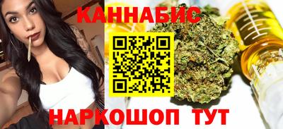 мдпв Кингисепп