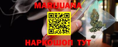 мдпв Кингисепп