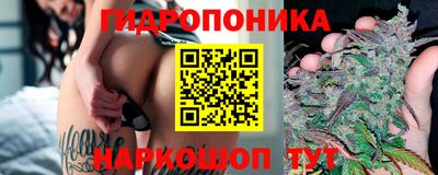мдпв Кингисепп