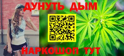мдпв Кингисепп