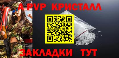 мдпв Кингисепп
