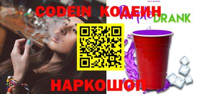 мдпв Кингисепп