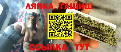 мдпв Кингисепп