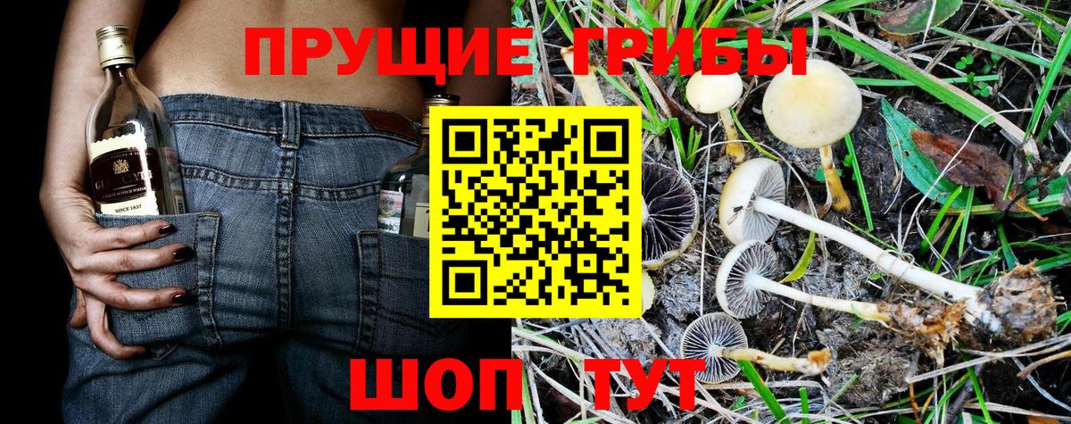 Галлюциногенные грибы мухоморы Валуйки